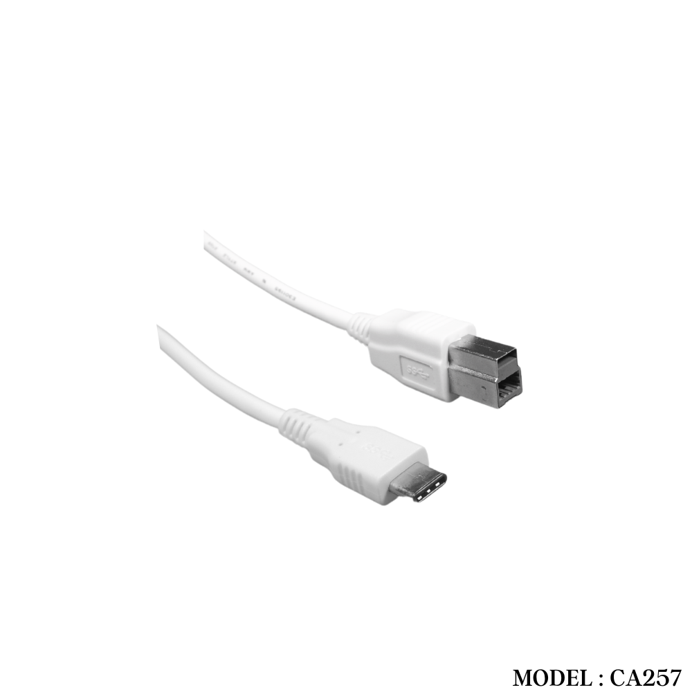 CA257 USB 3.1 TYPE C TO USB 3.0 BM CABLE 1METER - Image 2