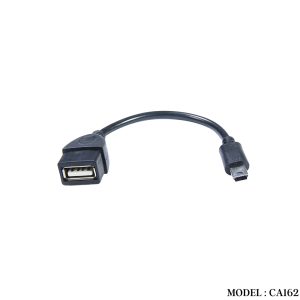 CA162 USB F TO 5 PIN