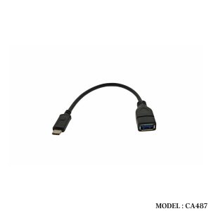 CA487 USB 3.1 TYPE C TO USB 3.0 AF CABLE 0.2METER